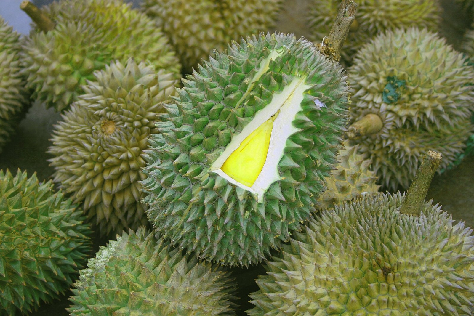 Durian Season in Malaysia: Varieties, Prices and Where to Eat Them